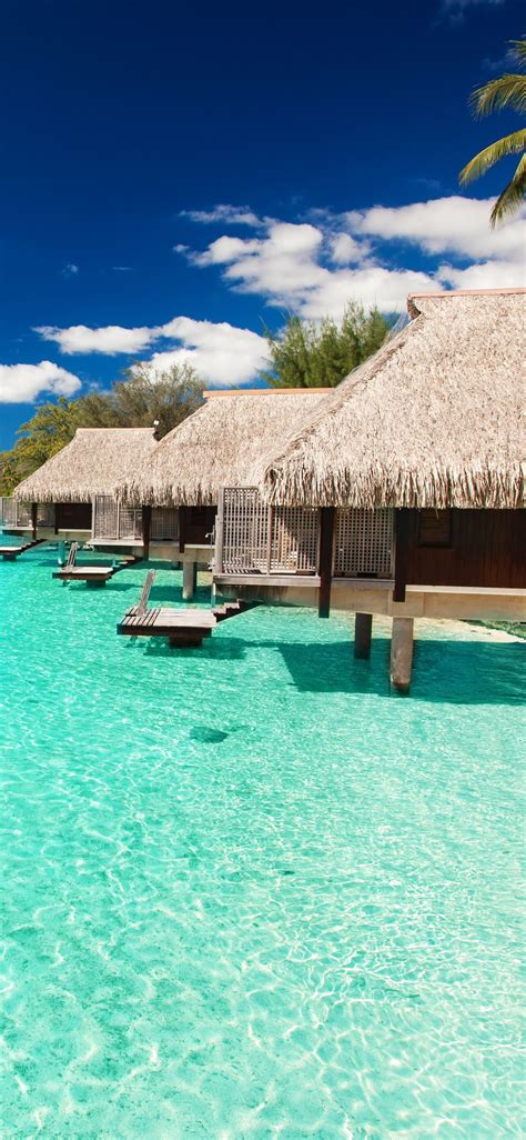 Wallpaper Maldives Bungalows Blue Sea Resort Tropical 5120x2880 Uhd