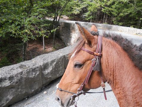 Rac Ride A Curly Adventure Blog Acadia National Park Part I