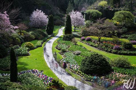 Photographing The Butchart Gardens In The Spring In The Field Photo