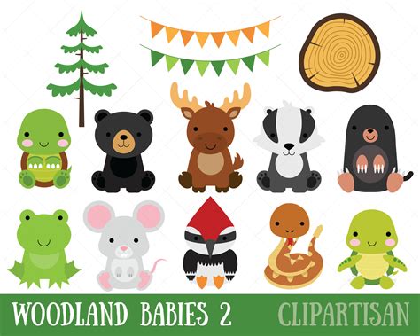 Woodland Baby Animals Clipart Set 2 Forest Animal Clipart Etsy