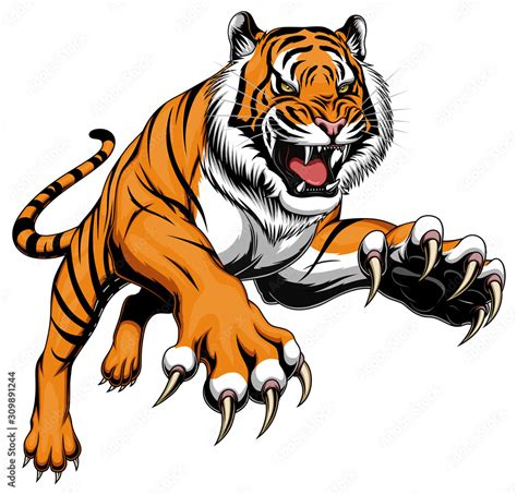 Leaping Tiger Stock Vector Adobe Stock