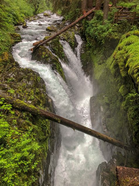 Olympic National Park One Of The Best Journey To All National Parks