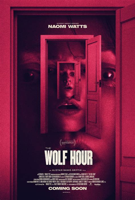 The Wolf Hour Film Filmstarts De