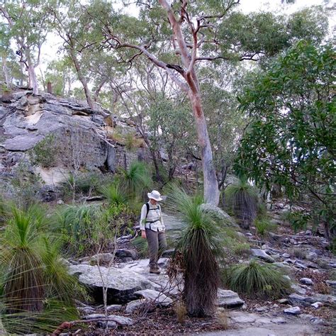 Australia National Parks Tour Uniquely Australia⎮nature Bound Australia