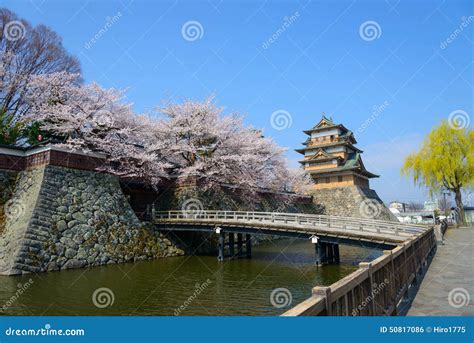 Cherry Blossoms And Castle Stock Photo Image Of Japan 50817086