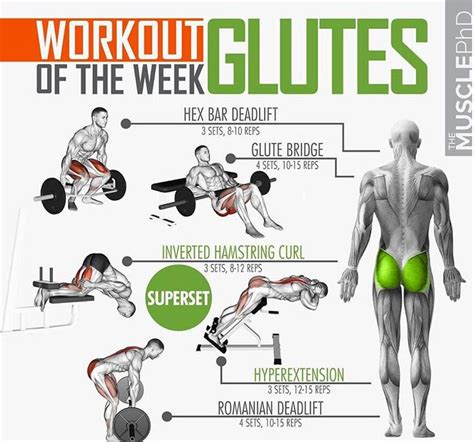 Activate The Glutes While Training Weighteasyloss Com Fitness