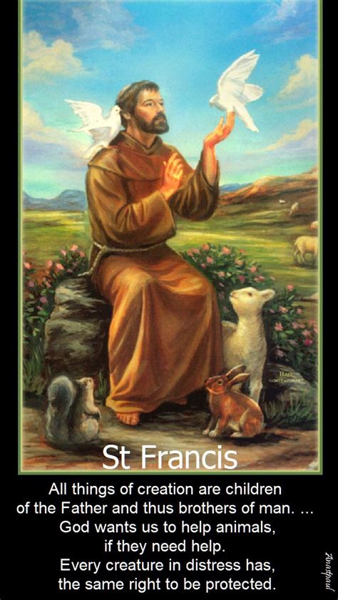 Quotes Of The Day 4 October The Memorial Of St Francis Of Assisi