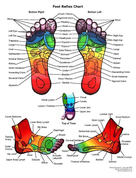 Reflexologychart Feethow Toreflexology Chart Feet Wow