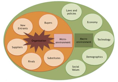 Define the external environment of organizations. Scanning the External Environment | SSWM