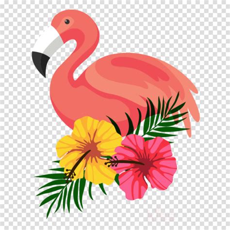 Download High Quality Luau Clipart Flamingo Transparent Png Images