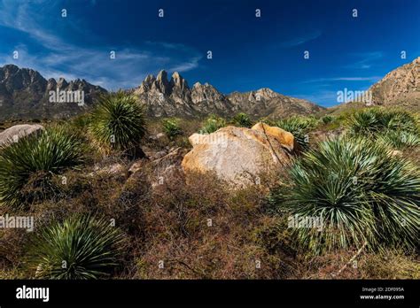 Chihuahuan Desert Landscape Near Aguirre Springs Campground Organ