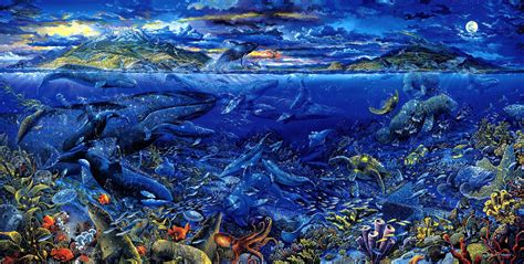 Sea Animals Wallpapers ·① Wallpapertag