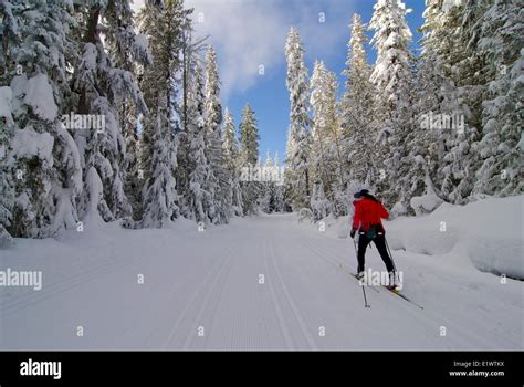 Pirate Loppett Cross Country Skiing Larch Hills Nordic Area Near