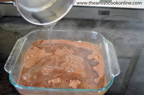 Baked Chocolate Fudge Pudding