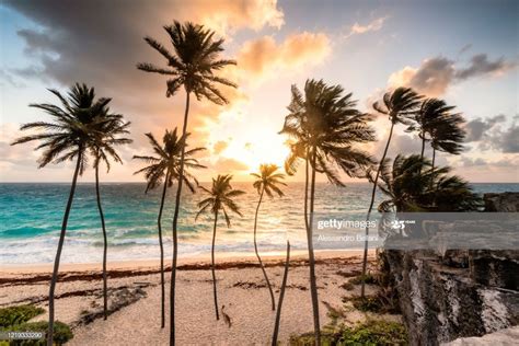 Bottom Bay Beach During Sunrise Barbados Island Lesser Antilles