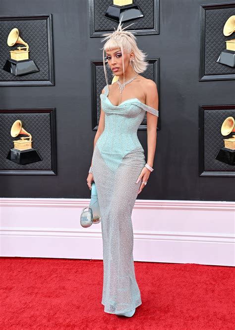 Doja Cats See Through Grammys Look Contained One Adorable Detail You
