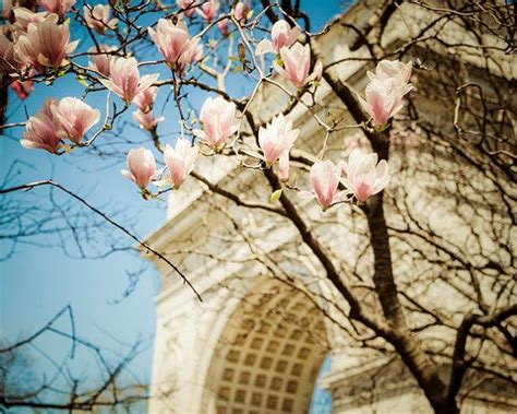 Foto De Nueva York Flores De Primavera Nyc Fotografía City Etsy