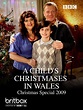 A Child's Christmases in Wales Christmas Special 2009 (2009) | Radio Times