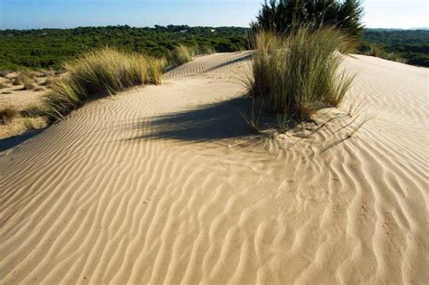 5 Paisajes De Dunas Impresionantes En EspaÑa Revista Airelibre