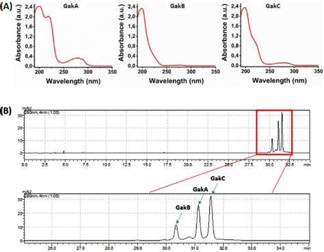 A Uv Absorbance Spectra 190 350 Nm For Garks Peptides B Hplc