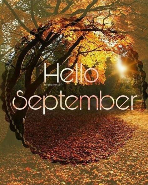 The Words Hello November Are Surrounded By Leaves In Front Of An Image