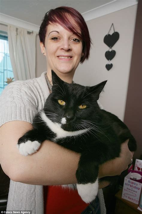 Kahn The Cat Survives Airgun Attack After Pellets Hit His Fat Daily
