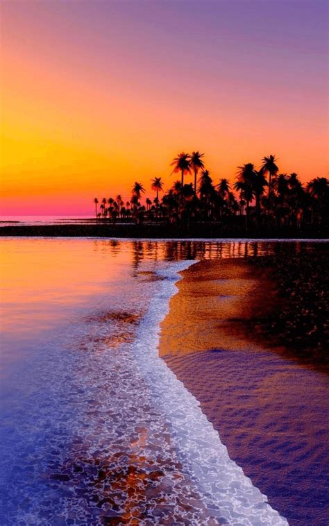 Hd Sunset Live Wallpaper Apk For Android Download