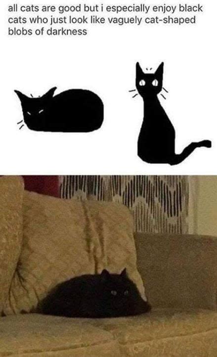 black cat meme arms