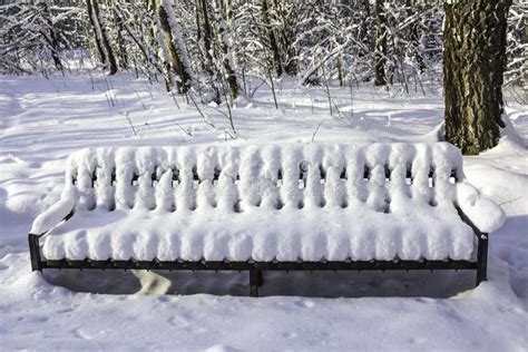 Bench In The Park After A Heavy Snowfall Stock Image Image Of Design