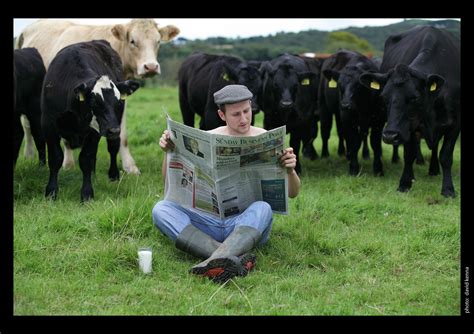 irish farmer calendar 2015 the farmers of 2010 irish beef farmers calendar contemporary