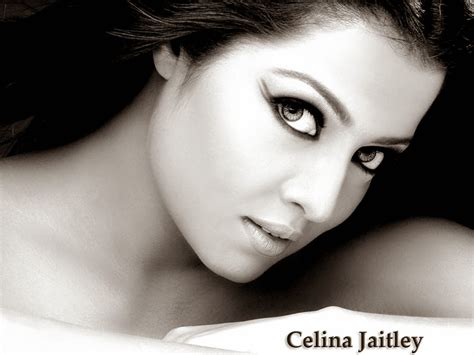 Bollywood Hollywood Hd Actress Wallpapers Celina Jaitley Hd Wallpapers