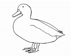 Duck Pencil Drawing | Free download on ClipArtMag