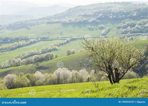 Spring Landscape Of Carpathian Mountains Stock Photo Image Of Slopes