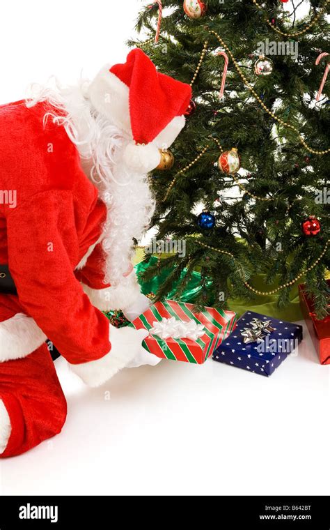 Santa Claus Putting Presents Under The Christmas Tree Isolated On White