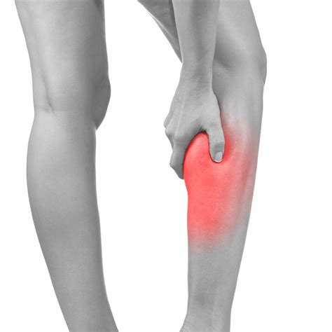 Lower Leg Pain Trigger Point Referrals West Suburban