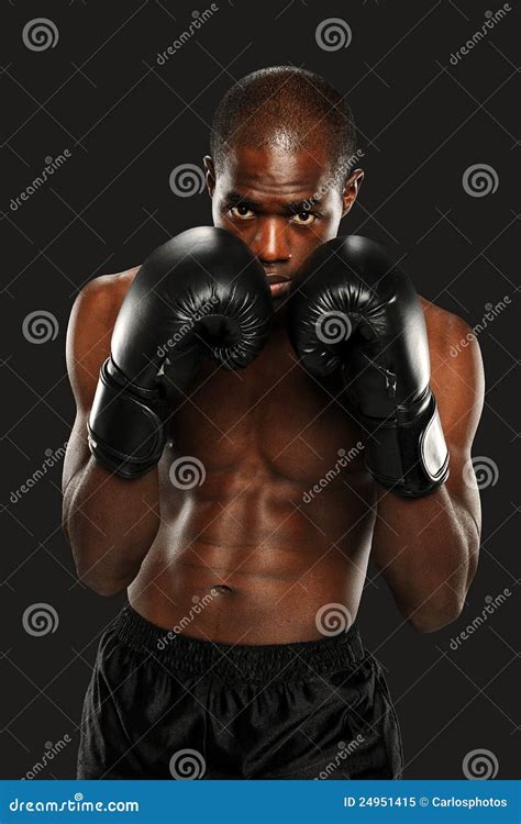 Young African American Boxer Royalty Free Stock Photo Image 24951415