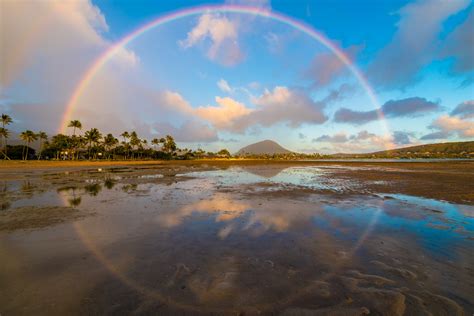 Rainbow Circle 2 ⋆ That Which Nourishes