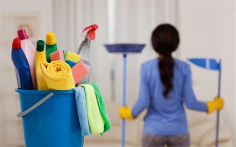 Limpieza De Casas Servicio Profesional Ofrecidos Por Limpirsa