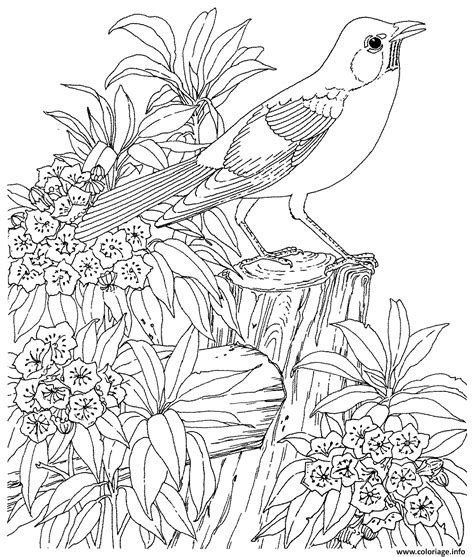 Coloriage pour adulte 1  JeColorie.com