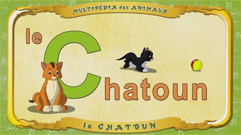 Multipédia Des Animaux La Lettre C Le Chatoun Youtube