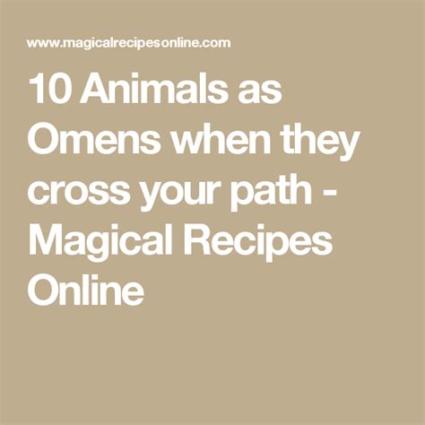 10 Animals As Omens When They Cross Your Path Magical Recipes Online