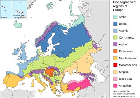 Bioclimatic Map And Biogeographical Regions Of Europe Vivid Maps