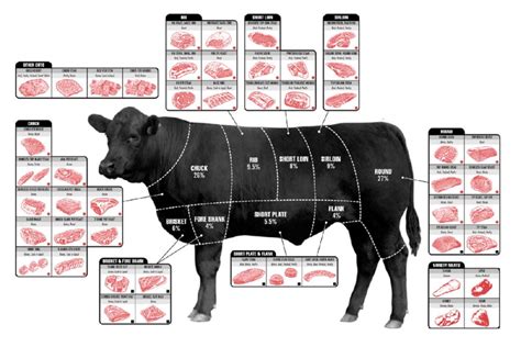 Beef Cuts Of Meat Butcher Chart Cattle Diagram Poster 24inx36in Poster