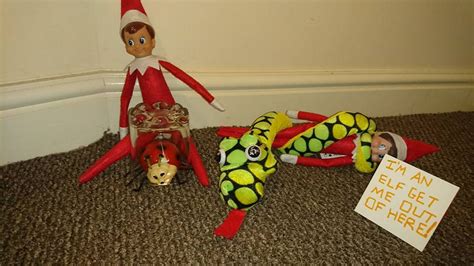 20 Funny Elf On The Shelf Style Ideas From Readers In Newcastle And The