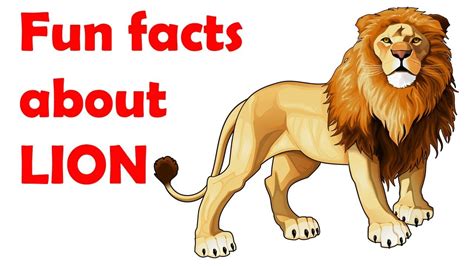 Lion Facts For Kids Printable