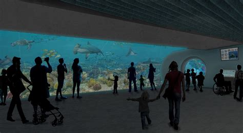 Point Defiances Pacific Seas Aquarium To Open September 7 Sea