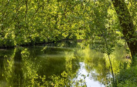 995 Eure River Stock Photos Free And Royalty Free Stock Photos From