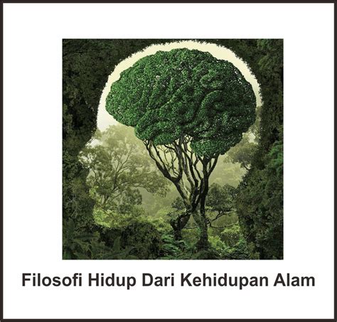 Filosofi Hidup Dari Kehidupan Alam Untuk Manusia Infoteknikindustri Com