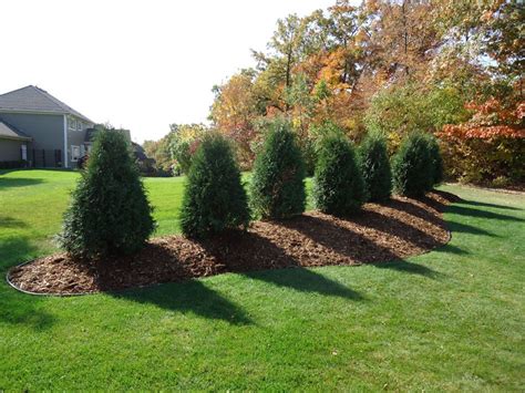 How To Build A Berm For Landscaping Clear The Space For Your