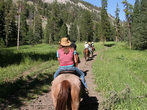 Yellowstone Horseback Ride 1 Hour Tracks Trails